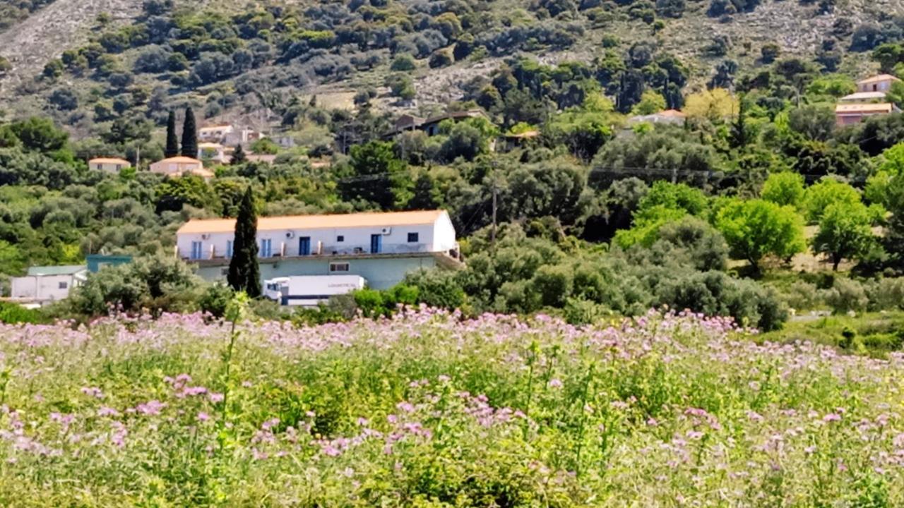 Apartament Aelia Sea Argostoli  Zewnętrze zdjęcie